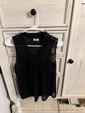 Siren Lily Black Lace V-Neck Sleeveless Camisole